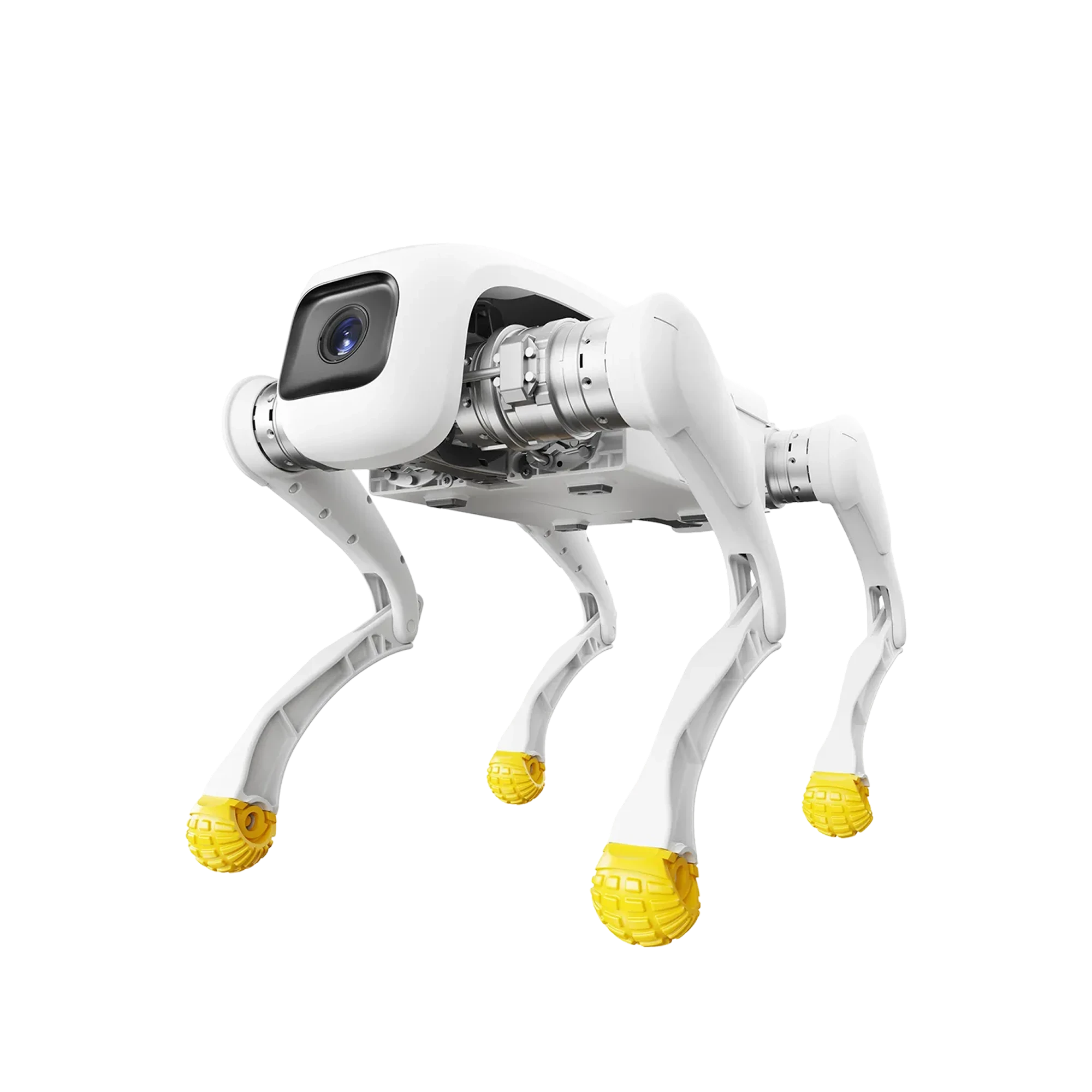 04_AgiBot_D1_EDU_01